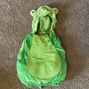 Turtle costume